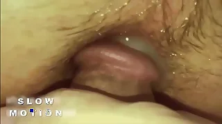 18 Gay Porn 1